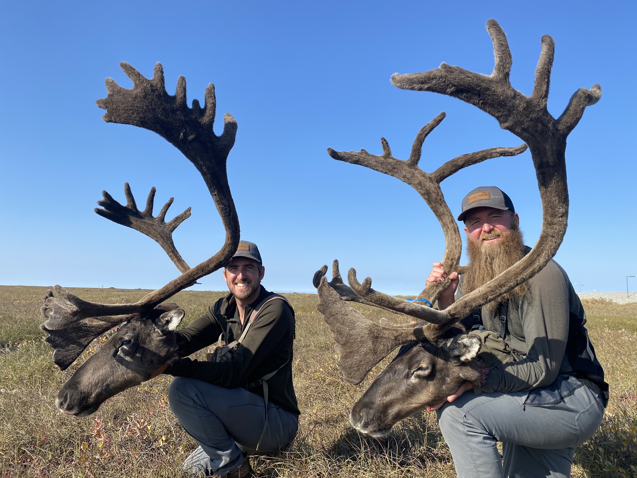 Caribou Hunting Northern Brooks Range Arrowhead Outfitters LLC   NBR Caribou1 