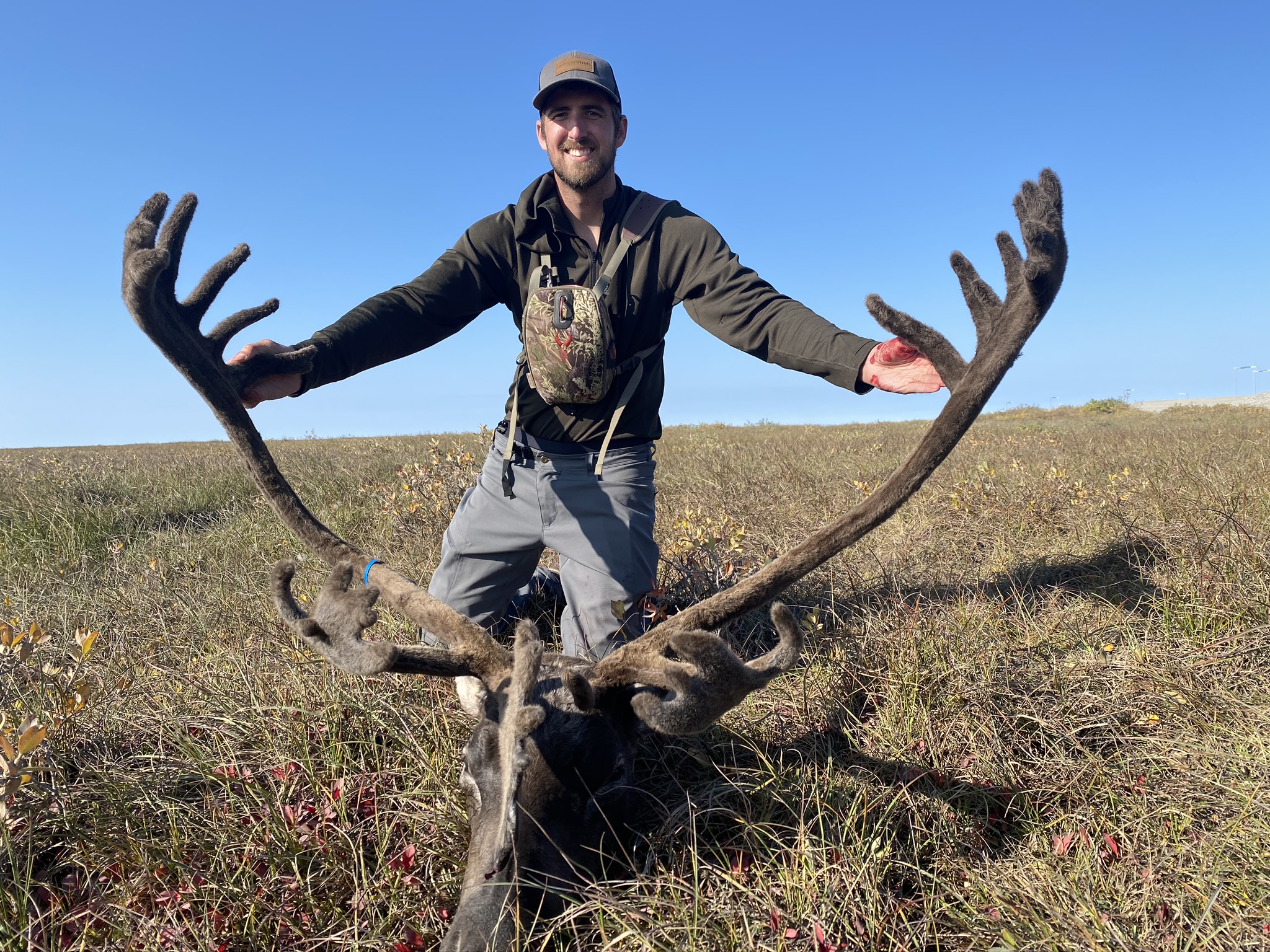 Caribou Hunting Northern Brooks Range Arrowhead Outfitters LLC   NBR Caribou10 