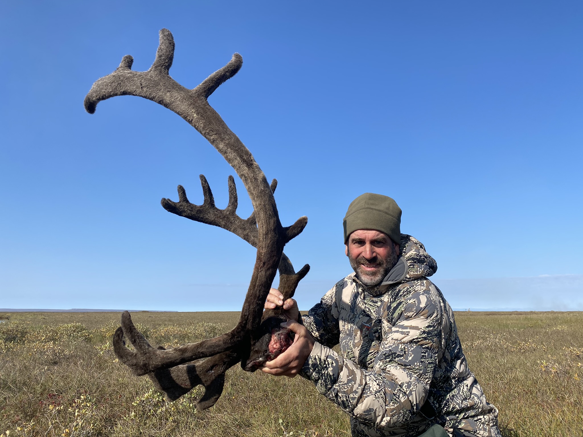 Caribou Hunting Northern Brooks Range Arrowhead Outfitters LLC   NBR Caribou2 